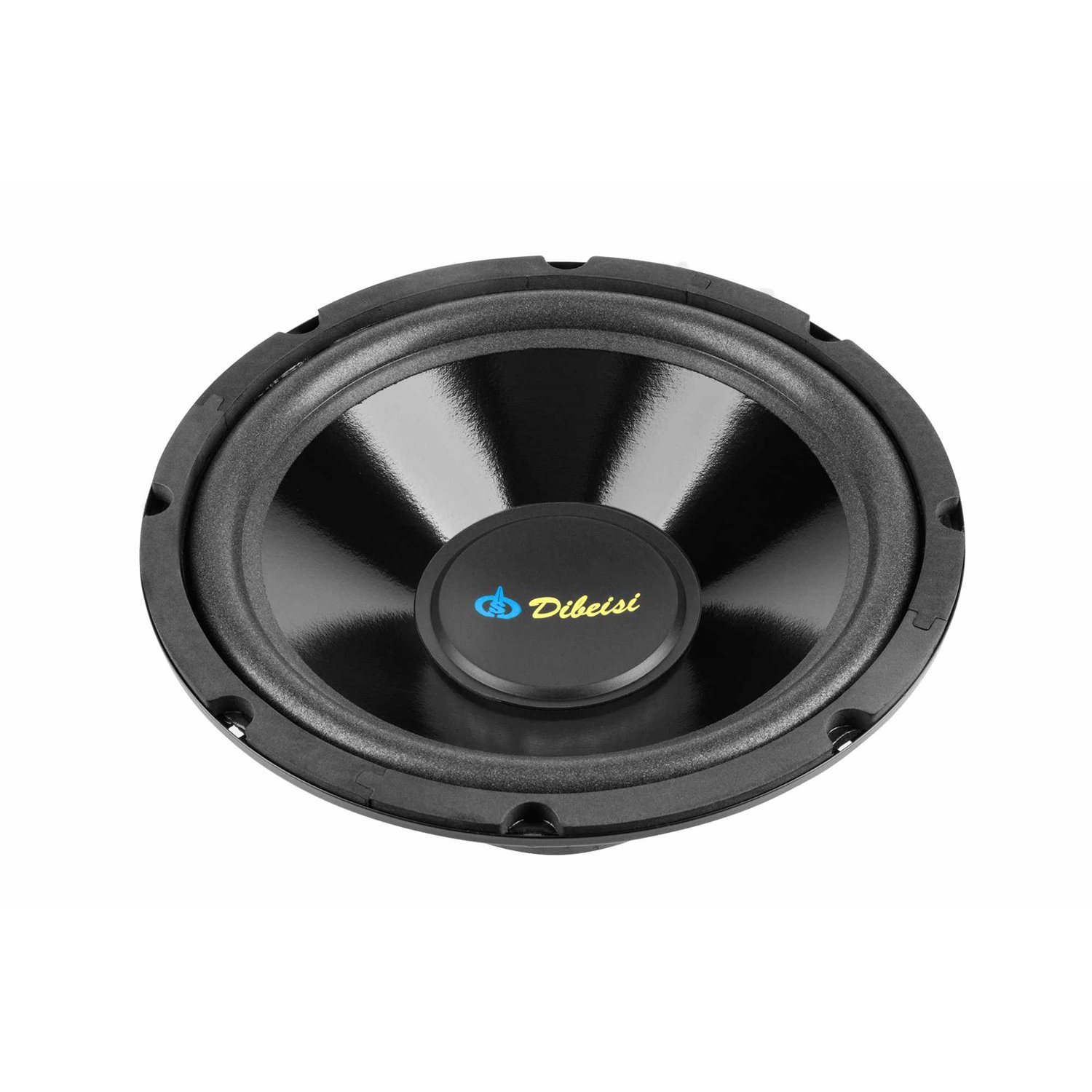 Repro. DBS G-1002  10" 110 W -4